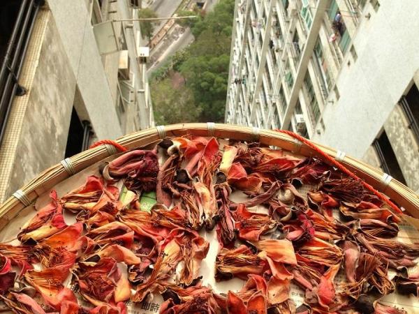 「常惜」攝影展 